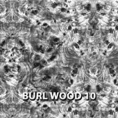 BURL-WOOD-10.jpg