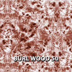 BURL-WOOD-50.jpg